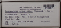 Image Associated With the Occurence